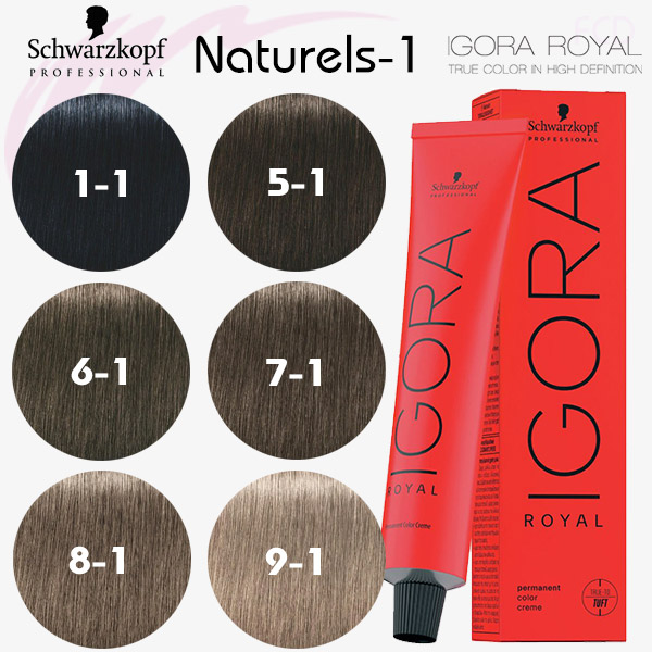 Coloration IGORA ROYAL 1.1 Noir Cendré - Beauté Price