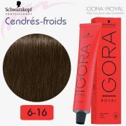 6-16 Blond foncé cendré marron | Cendrés froid Igora Royal Schwarzkopf