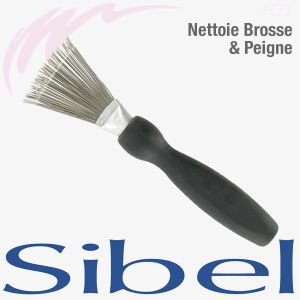 Nettoie Brosse et peigne