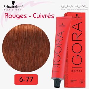 IGORA Royal 6-77 Blond foncé cuivré extra série rouges cuivrés
